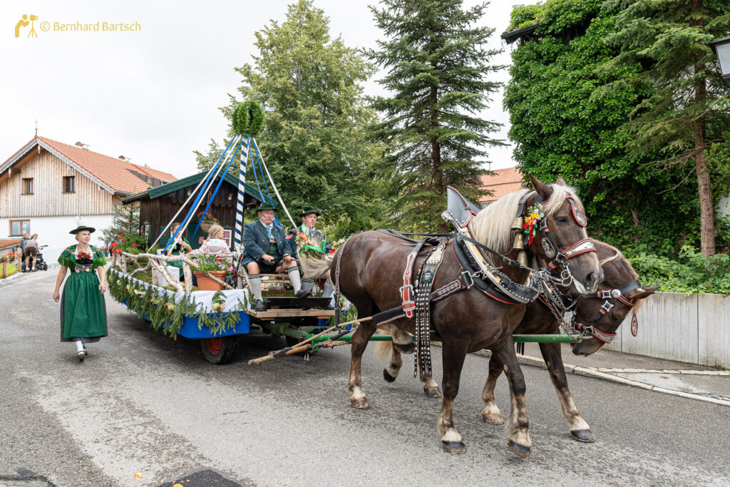 Gautrachtenfest 2024, Prunkwagen mit Zweispänner, Foto vom Fotograf und Webdesigner Bernhard Bartsch