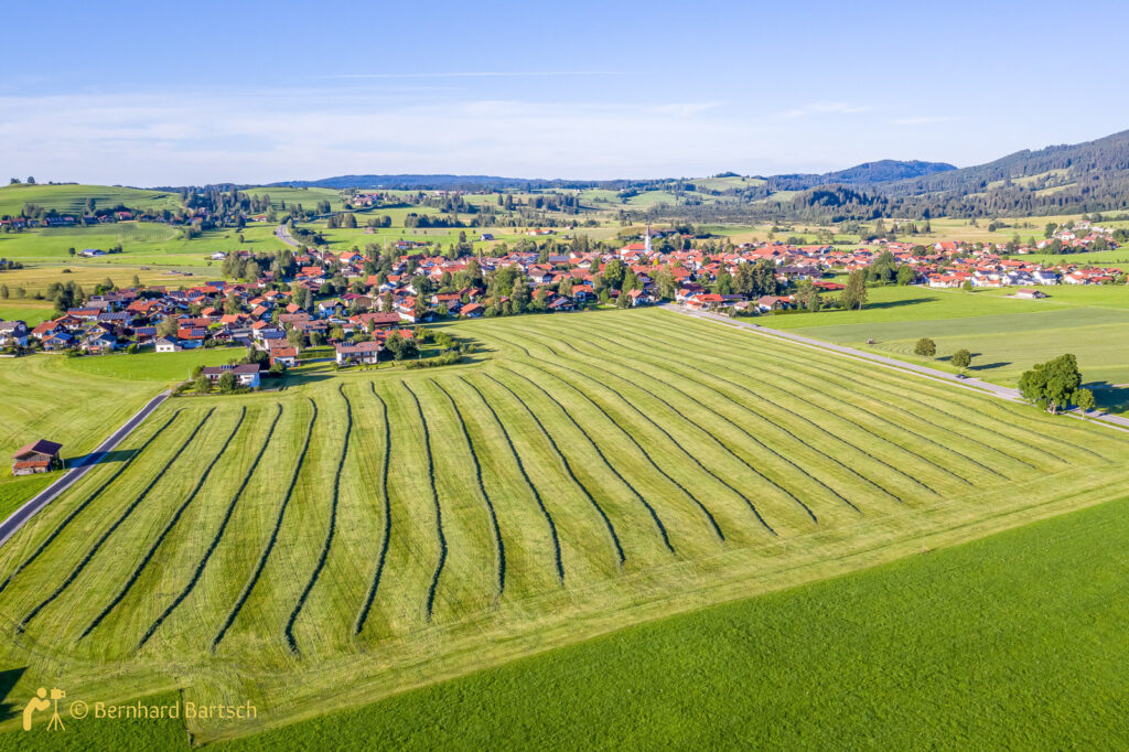 Trauchgau, Dorf mit frisch gemähtem Feld, Drohnenfoto vom Fotograf und Webdesigner Bernhard Bartsch